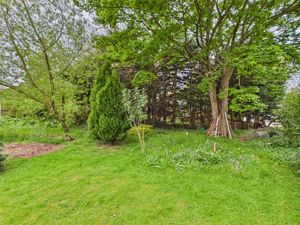 Garden- click for photo gallery